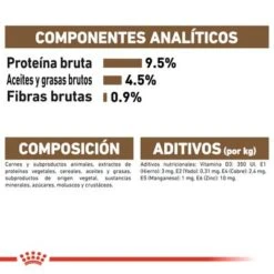 Royal Canin Ageing +12 En Gelatina -Mascota Suministros Ventas rc fhn wet ageing12jelly cv eretailkit 7 es es 6