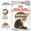 Royal Canin Ageing +12 En Gelatina