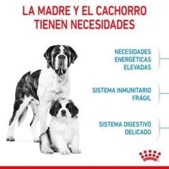 Royal Canin Giant Starter -Mascota Suministros Ventas rc spt dry giantstart cv 2 es es 3