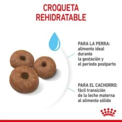 Royal Canin Giant Starter -Mascota Suministros Ventas rc spt dry giantstart cv 4 es es 9