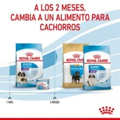 Royal Canin Giant Starter -Mascota Suministros Ventas rc spt dry giantstart cv 5 es es 2