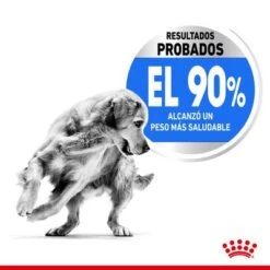Royal Canin Maxi Light Weight Care -Mascota Suministros Ventas rc spt dry lightweightmaxi cv 2 es es 1 2