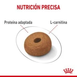 Royal Canin Maxi Light Weight Care -Mascota Suministros Ventas rc spt dry lightweightmaxi cv 3 es es 1 2