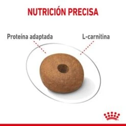 Royal Canin Medium Light Weight Care -Mascota Suministros Ventas rc spt dry lightweightmed cv 3 es es 1 7