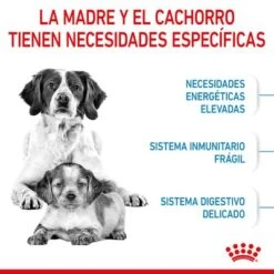 Royal Canin Medium Starter -Mascota Suministros Ventas rc spt dry mediumstart cv 2 es es 4