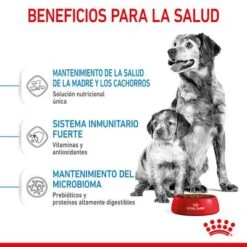 Royal Canin Medium Starter -Mascota Suministros Ventas rc spt dry mediumstart cv 3 es es 8