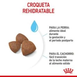 Royal Canin Medium Starter -Mascota Suministros Ventas rc spt dry mediumstart cv 4 es es 7