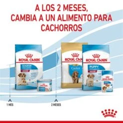 Royal Canin Medium Starter -Mascota Suministros Ventas rc spt dry mediumstart cv 5 es es 6