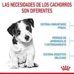 Royal Canin Mini Puppy / Junior -Mascota Suministros Ventas rc spt dry minipuppy cv 2 es es 8
