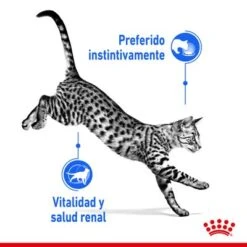 Royal Canin Indoor Sterilised 7+ En Salsa -Mascota Suministros Ventas rc spt wet ind7stergravy cv 1 es es 6