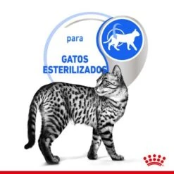 Royal Canin Indoor Sterilised En Salsa 11 Royal Canin Indoor Sterilised En Salsa -Mascota Suministros Ventas rc spt wet indstergravy cv 2 es es 5