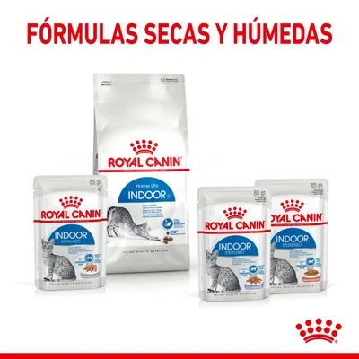 Royal Canin Indoor Sterilised En Salsa 6 Royal Canin Indoor Sterilised En Salsa - Imagen 6
