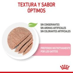 Royal Canin Kitten Paté -Mascota Suministros Ventas rc spt wet kitten loaf cv 2 es es 6