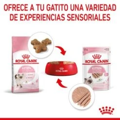 Royal Canin Kitten Paté -Mascota Suministros Ventas rc spt wet kitten loaf cv 4 es es 8