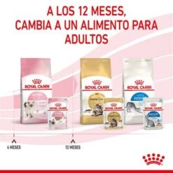 Royal Canin Kitten Paté -Mascota Suministros Ventas rc spt wet kitten loaf cv 8 es es 4