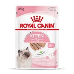 Royal Canin Kitten Paté -Mascota Suministros Ventas rc spt wet kitten loaf mv 3 es es 9