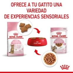 Royal Canin Sterilised Kitten En Salsa 17 Royal Canin Sterilised Kitten En Salsa -Mascota Suministros Ventas rc spt wet kittenster cig cv 4 es es 7