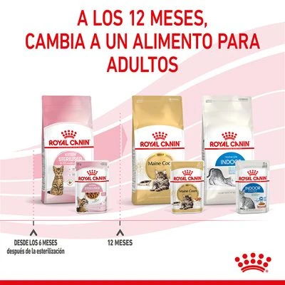 Royal Canin Sterilised Kitten En Salsa 10 Royal Canin Sterilised Kitten En Salsa - Imagen 10