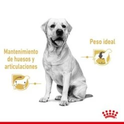 Royal Canin Breed Labrador Retriever En Salsa -Mascota Suministros Ventas rc spt wet labad cv 1 es es 2