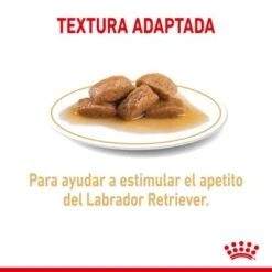 Royal Canin Breed Labrador Retriever En Salsa -Mascota Suministros Ventas rc spt wet labad cv 2 es es 2