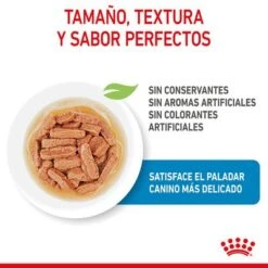Royal Canin Medium Puppy En Salsa Para Perros -Mascota Suministros Ventas rc spt wet mediumpuppy cv 2 es es 8
