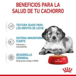 Royal Canin Medium Puppy En Salsa Para Perros -Mascota Suministros Ventas rc spt wet mediumpuppy cv 3 es es 6