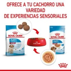 Royal Canin Medium Puppy En Salsa Para Perros -Mascota Suministros Ventas rc spt wet mediumpuppy cv 4 es es 1