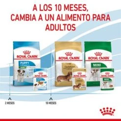 Royal Canin Mini Puppy En Salsa Para Perros -Mascota Suministros Ventas rc spt wet minipuppy cv 8 es es 5