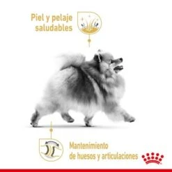 Royal Canin Breed Pomerania Mousse -Mascota Suministros Ventas rc spt wet pomad cv 1 es es 5