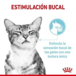 Royal Canin Sensory En Salsa - Pack Mixto -Mascota Suministros Ventas rc spt wet sensmultipack cv 3 es es 7