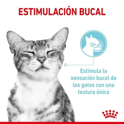 Royal Canin Sensory En Salsa - Pack Mixto - Imagen 6