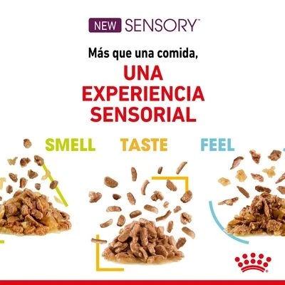 Royal Canin Sensory En Salsa - Pack Mixto - Imagen 3