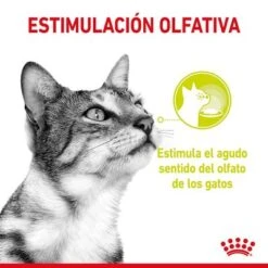 Royal Canin Sensory Smell En Salsa -Mascota Suministros Ventas rc spt wet senssmellcig cv 1 es es 6