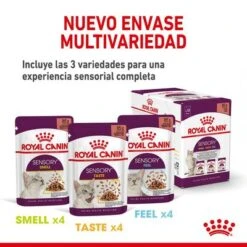Royal Canin Sensory Smell En Salsa -Mascota Suministros Ventas rc spt wet senssmellcig cv 4 es es 3