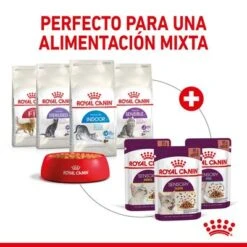 Royal Canin Sensory Smell En Salsa -Mascota Suministros Ventas rc spt wet senssmellcig cv 5 es es 1