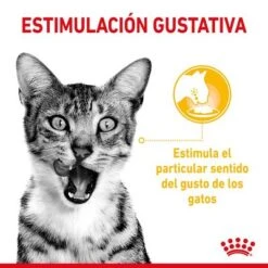 Royal Canin Sensory Taste En Salsa -Mascota Suministros Ventas rc spt wet senstastecig cv 1 es es 5