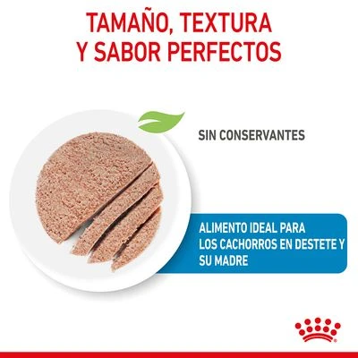 Royal Canin Starter Mousse 5 Royal Canin Starter Mousse - Imagen 5
