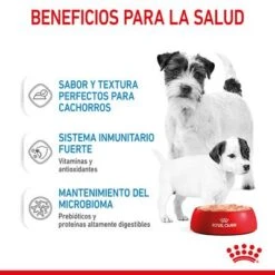 Royal Canin Starter Mousse 17 Royal Canin Starter Mousse -Mascota Suministros Ventas rc spt wet startermousse can cv 3 es es 8