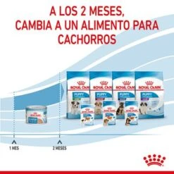 Royal Canin Starter Mousse 21 Royal Canin Starter Mousse -Mascota Suministros Ventas rc spt wet startermousse can cv 8 es es 3