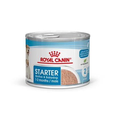 Royal Canin Starter Mousse 4 Royal Canin Starter Mousse - Imagen 4