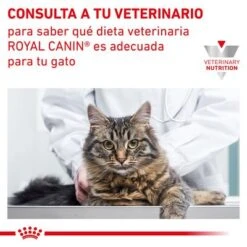Royal Canin Veterinary Feline Renal En Salsa Sobres Para Gatos -Mascota Suministros Ventas rc vet dry catrenal cv eretailkit 9 es es 7