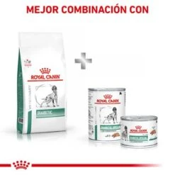 Royal Canin Veterinary Canine Diabetic Pienso Para Perros -Mascota Suministros Ventas rc vet dry dogdiabetic cv eretailkit 7 es es 0