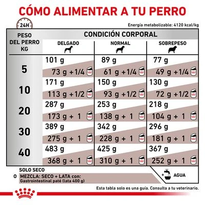 Royal Canin Veterinary Canine Gastro Intestinal Pienso Para Perros 5 Royal Canin Veterinary Canine Gastro Intestinal Pienso Para Perros - Imagen 5
