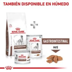 Royal Canin Veterinary Canine Gastro Intestinal Pienso Para Perros 14 Royal Canin Veterinary Canine Gastro Intestinal Pienso Para Perros -Mascota Suministros Ventas rc vet dry doggastro cv eretailkit 8 es es 1