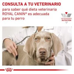 Royal Canin Veterinary Canine Gastro Intestinal Moderate Calorie -Mascota Suministros Ventas rc vet dry doggastromc cv eretailkit 9 es es 0
