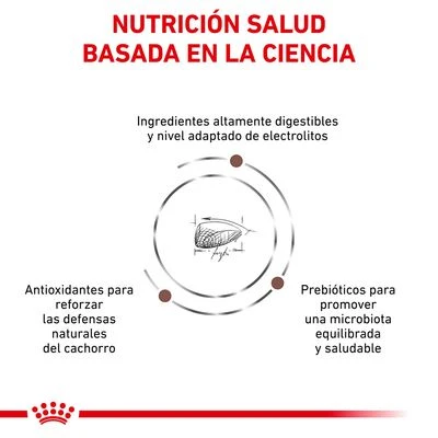 Royal Canin Veterinary Gastro Intestinal Puppy Pienso Para Perros 3 Royal Canin Veterinary Gastro Intestinal Puppy Pienso Para Perros - Imagen 3