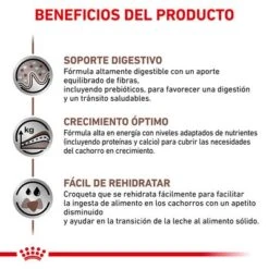 Royal Canin Veterinary Gastro Intestinal Puppy Pienso Para Perros 11 Royal Canin Veterinary Gastro Intestinal Puppy Pienso Para Perros -Mascota Suministros Ventas rc vet dry doggastropu cv eretailkit 4 es es 6
