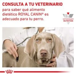 Royal Canin Veterinary Canine Hypoallergenic Pienso Para Perros -Mascota Suministros Ventas rc vet dry doghypo cv eretailkit 7 es es 8