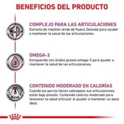 Royal Canin Veterinary Canine Mobility Support Pienso Para Perros -Mascota Suministros Ventas rc vet dry dogmob cv eretailkit 4 es es 1