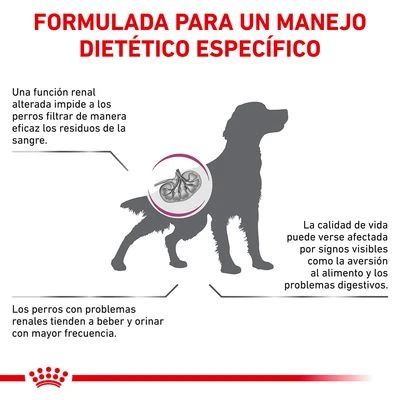 Royal Canin Veterinary Canine Renal Pienso Para Perros 2 Royal Canin Veterinary Canine Renal Pienso Para Perros - Imagen 2